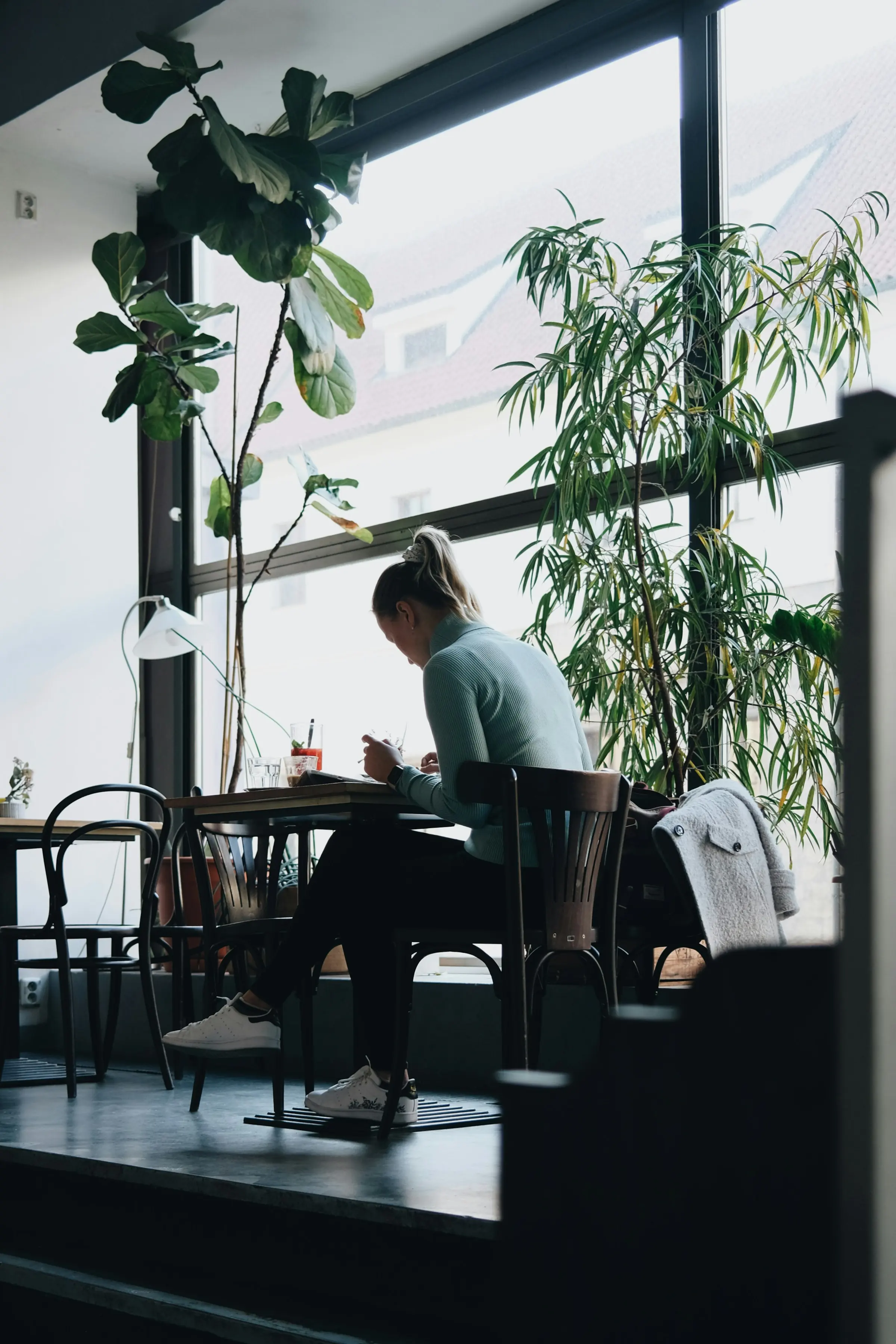 Someone working alone at a café table by a tall window, plants along the glass.
